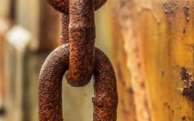 Las cadenas de Franquicias de Belleza debilitan la calidad de enseñanza 