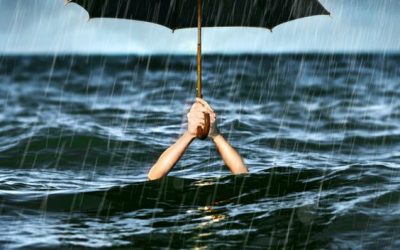 El paraguas de las Marcas en la industria