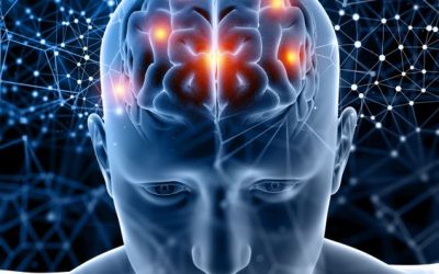 El Peluquero : Desde lo científico