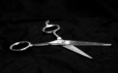 El MITO de la profesionalización