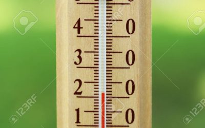 La medición del mercado de la Belleza