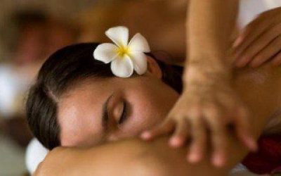 2022 el concepto Holístico será la Vedette