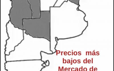 Mapa orientativo del mercado de la Belleza