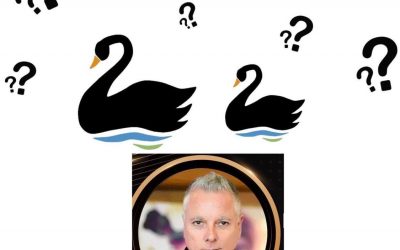 Sin Cisnes negros la industria en la región oculta sus síntomas