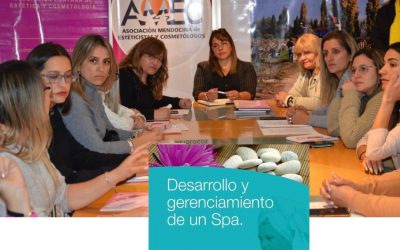 Liderazgo Institucional de la Estética