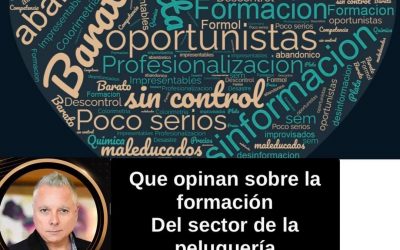 Nube de palabras (que opinan sobre la Formación en el sector de la Peluquería)