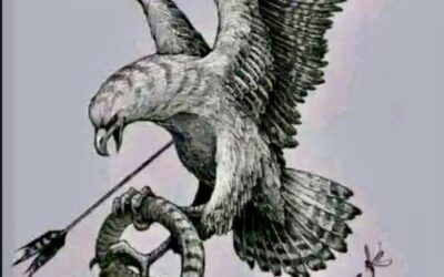 La cadena alimenticia