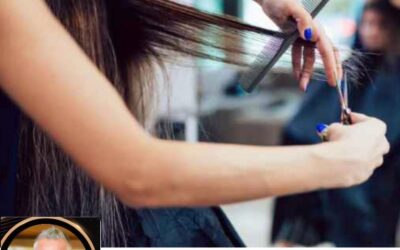 ¿Un buen peluquero en estos tiempos?