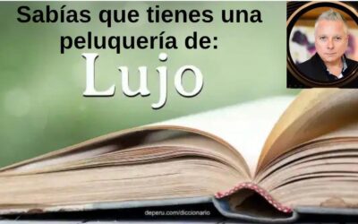 ¿Sabías que tienes una peluquería de lujo?