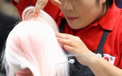 Competencia de peluquería 90/8/2