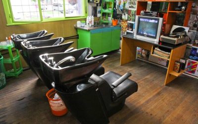 ¿Que soporte legal tienen las instituciones de peluquería en Argentina?