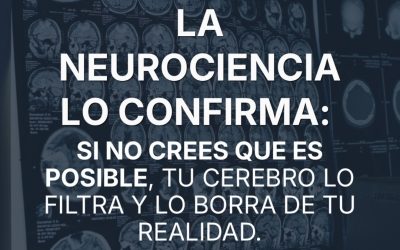 Motivación la herramienta de gestión de un peluquero