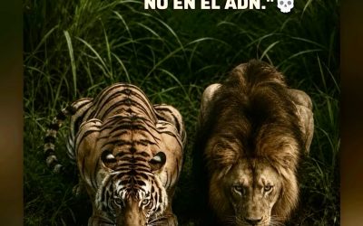 Baja lealtad en el sector de la peluquería